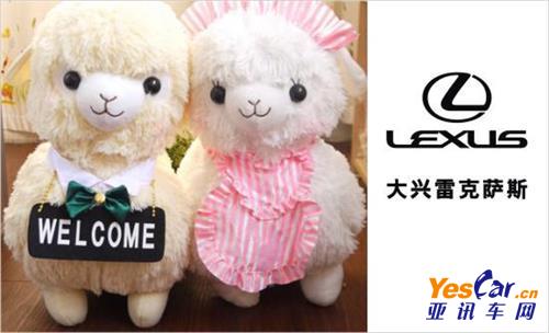 4S店促销 365体育在线网址 www.lanfengjs.com